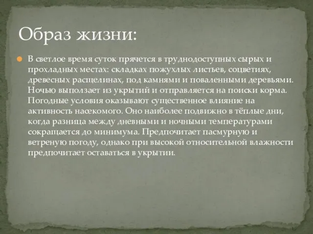 В светлое время суток прячется в труднодоступных сырых и прохладных местах: