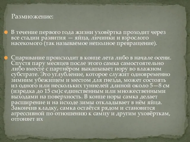 В течение первого года жизни уховёртка проходит через все стадии развития