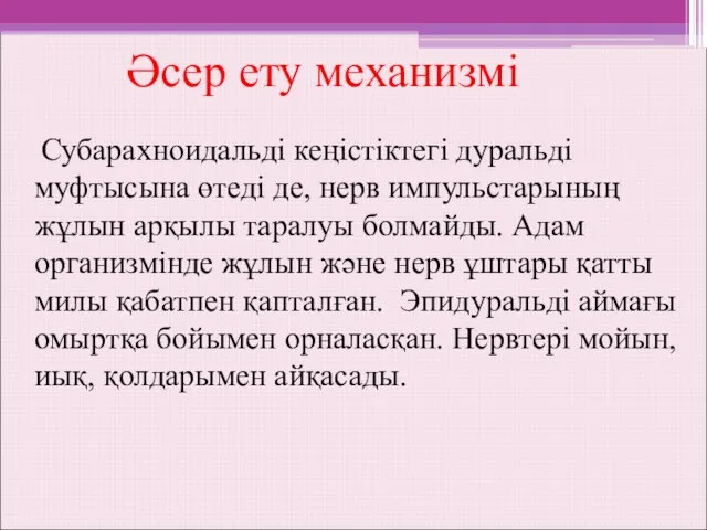 Субарахноидальді кеңістіктегі дуральді муфтысына өтеді де, нерв импульстарының жұлын арқылы таралуы