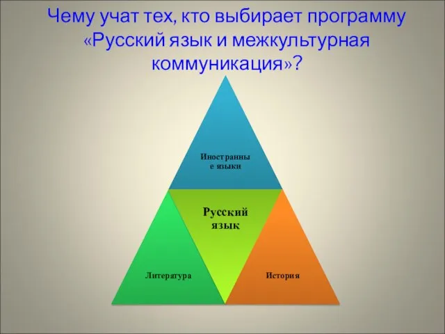 Чему учат тех, кто выбирает программу «Русский язык и межкультурная коммуникация»?