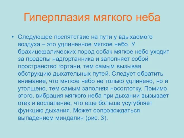 Гиперплазия мягкого неба Следующее препятствие на пути у вдыхаемого воздуха –