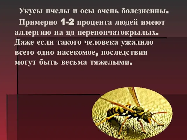 Укусы пчелы и осы очень болезненны. Примерно 1-2 процента людей имеют