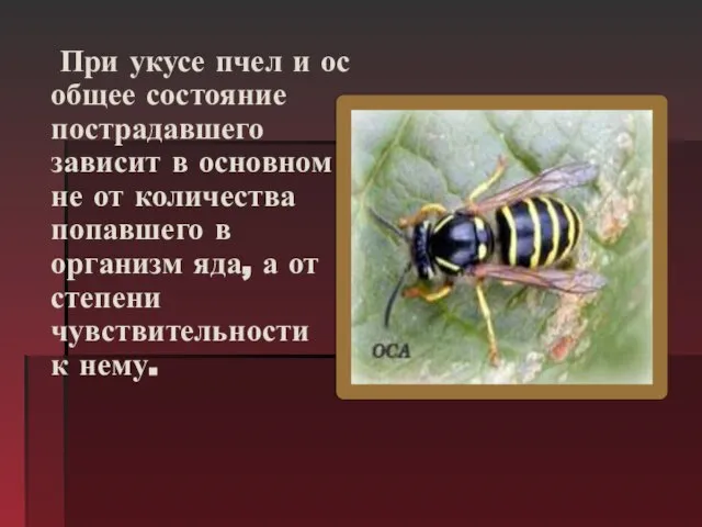 При укусе пчел и ос общее состояние пострадавшего зависит в основном