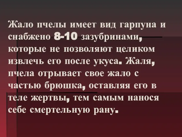 Жало пчелы имеет вид гарпуна и снабжено 8-10 зазубринами, которые не