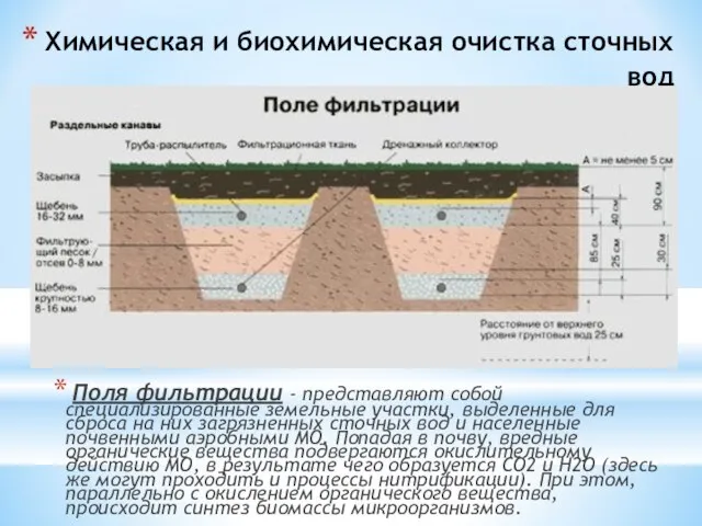 Химическая и биохимическая очистка сточных вод Поля фильтрации - представляют собой