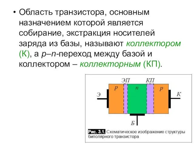 Область транзистора, основным назначением которой является собирание, экстракция носителей заряда из