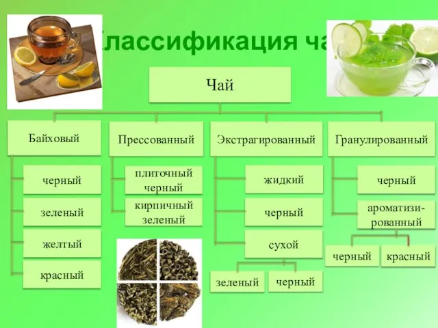 Классификация чая Чай Байховый Прессованный Экстрагированный Гранулированный черный зеленый желтый красный