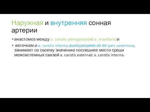 Наружная и внутренняя сонная артерии анастомоз между a. canalis pterygoidei(из a.