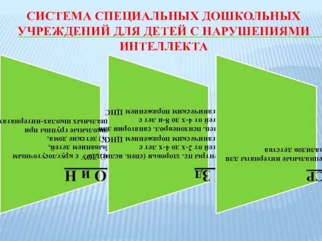 СИСТЕМА СПЕЦИАЛЬНЫХ ДОШКОЛЬНЫХ УЧРЕЖДЕНИЙ ДЛЯ ДЕТЕЙ С НАРУШЕНИЯМИ ИНТЕЛЛЕКТА