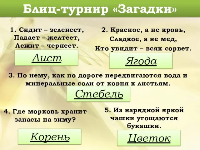 1. Сидит – зеленеет, Падает – желтеет, Лежит – чернеет. 3.