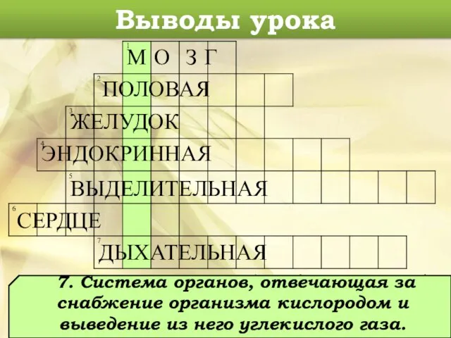 Выводы урока М О З Г ПОЛОВАЯ ЖЕЛУДОК ЭНДОКРИННАЯ ВЫДЕЛИТЕЛЬНАЯ СЕРДЦЕ