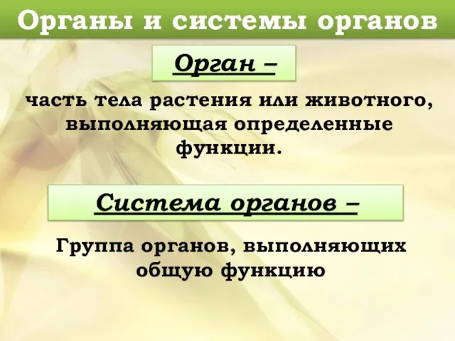 часть тела растения или животного, выполняющая определенные функции. Органы и системы