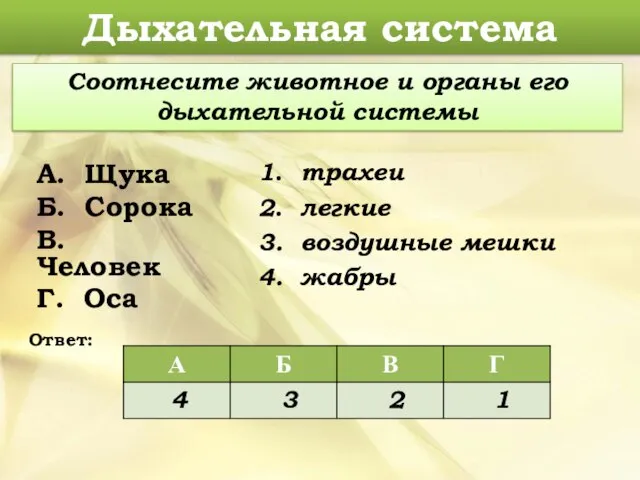 А. Щука Б. Сорока В. Человек Г. Оса Дыхательная система Соотнесите