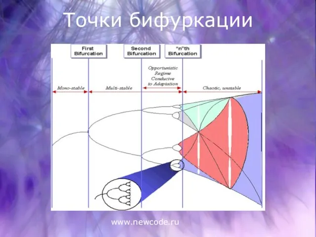 www.newcode.ru Точки бифуркации