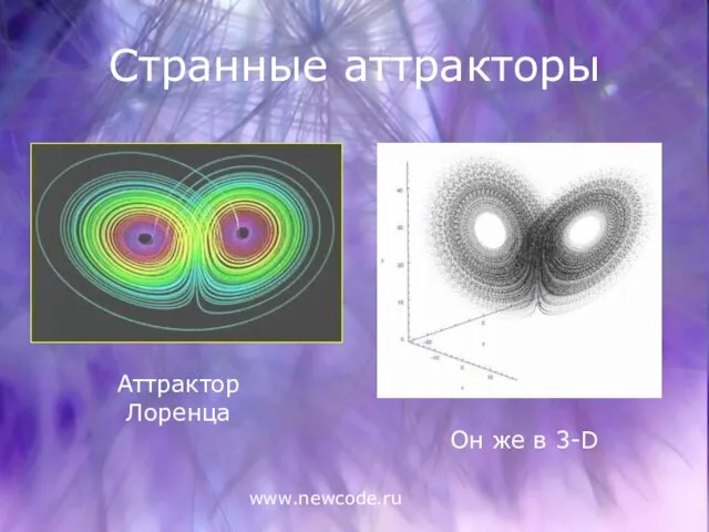 www.newcode.ru Странные аттракторы Аттрактор Лоренца Он же в 3-D