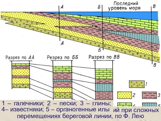 Пространственное перемещение фаций при сложных перемещениях береговой линии, по Ф. Лею