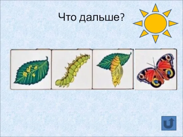 Что дальше? ?