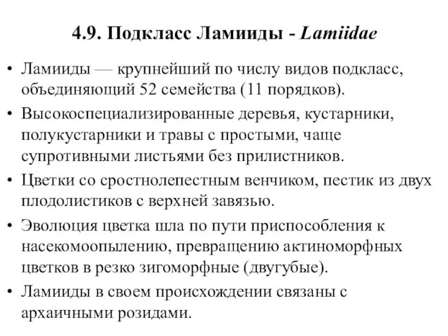 4.9. Подкласс Ламииды - Lamiidae Ламииды — крупнейший по числу видов