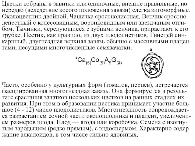 Цветки собраны в завитки или одиночные, внешне правильные, но нередко (вследствие