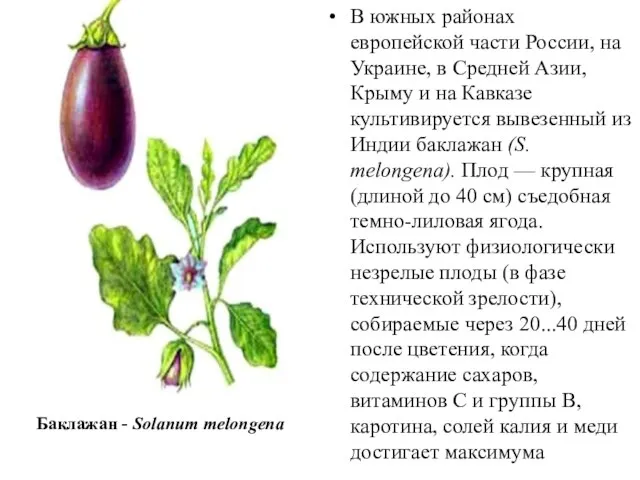 В южных районах европейской части России, на Украине, в Средней Азии,