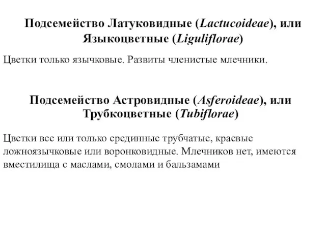 Подсемейство Латуковидные (Lactucoideae), или Языкоцветные (Liguliflorae) Цветки только язычковые. Развиты членистые