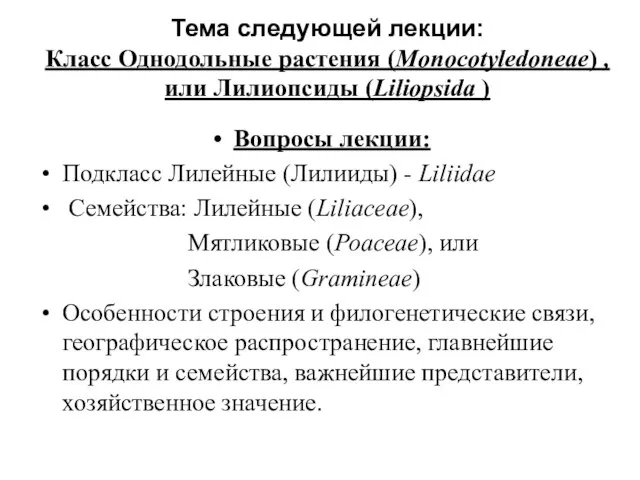 Вопросы лекции: Подкласс Лилейные (Лилииды) - Liliidae Семейства: Лилейные (Liliaceae), Мятликовые