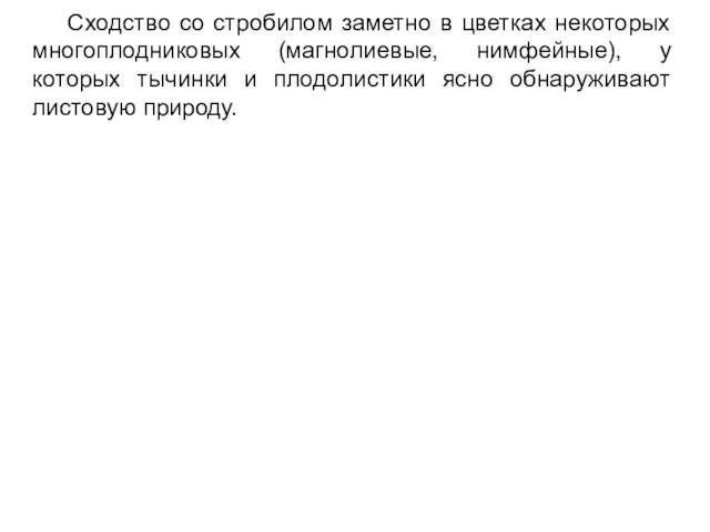 Сходство со стробилом заметно в цветках некоторых многоплодниковых (магнолиевые, нимфейные), у