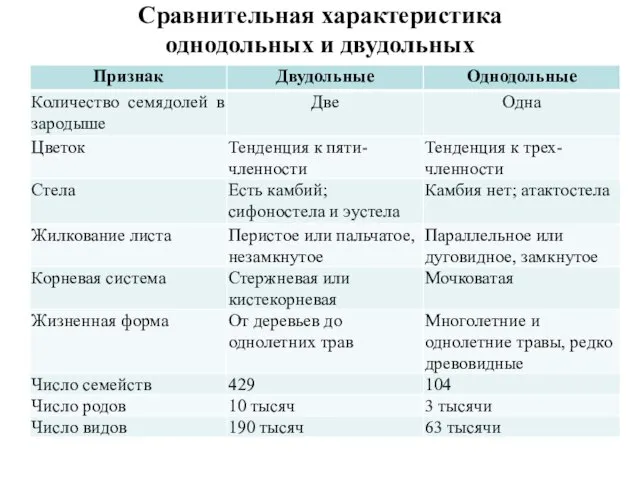 Сравнительная характеристика однодольных и двудольных