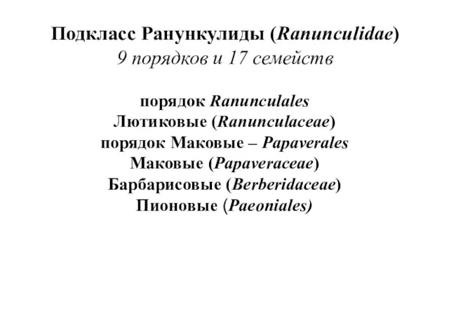 Подкласс Ранункулиды (Ranunculidae) 9 порядков и 17 семейств порядок Ranunculales Лютиковые