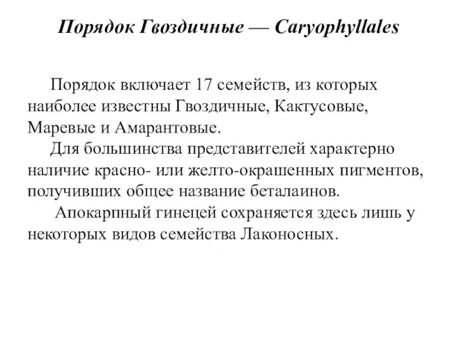 Порядок Гвоздичные — Caryophyllales Порядок включает 17 семейств, из которых наиболее