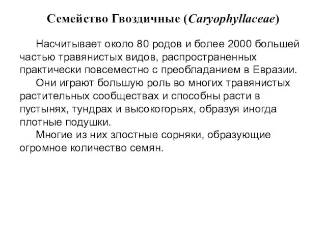 Семейство Гвоздичные (Caryophyllaceae) Насчитывает около 80 родов и более 2000 большей