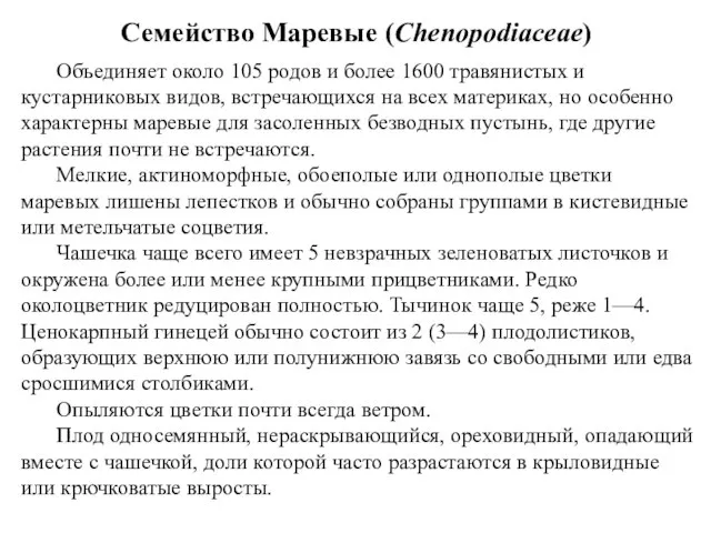 Семейство Маревые (Chenopodiaceae) Объединяет около 105 родов и более 1600 травянистых