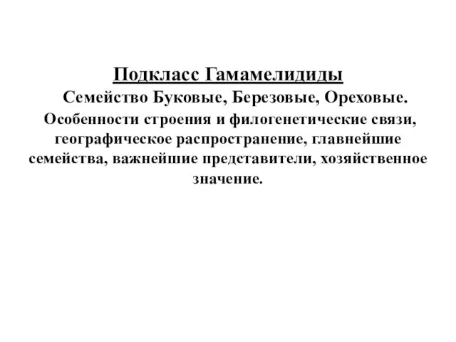 Подкласс Гамамелидиды Семейство Буковые, Березовые, Ореховые. Особенности строения и филогенетические связи,