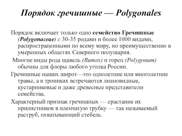 Порядок гречишные — Polygonales Порядок включает только одно семейство Гречишные (Polygoпасеае)