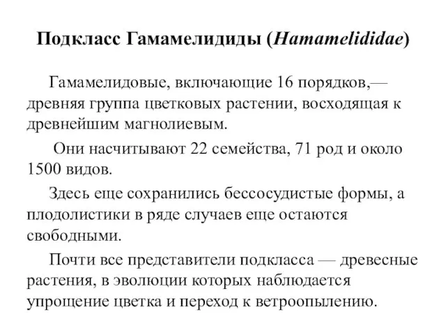 Подкласс Гамамелидиды (Hamamelididae) Гамамелидовые, включающие 16 порядков,— древняя группа цветковых растении,