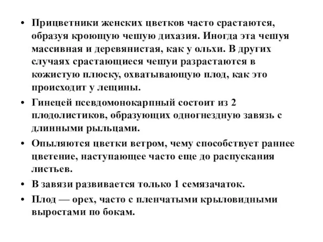 Прицветники женских цветков часто срастаются, образуя кроющую чешую дихазия. Иногда эта