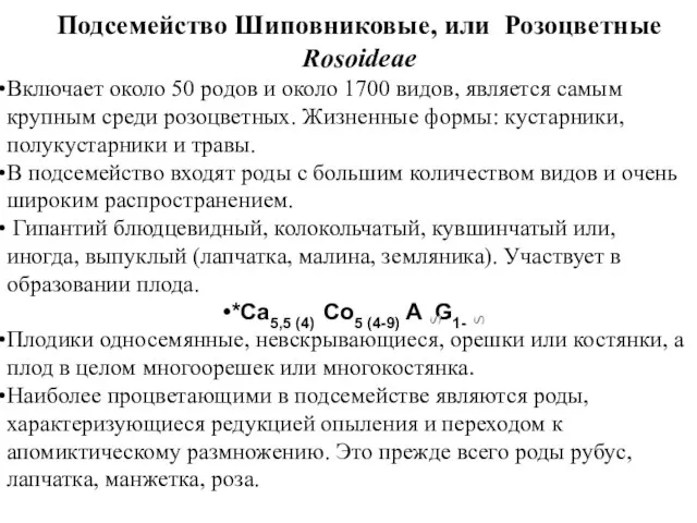 Подсемейство Шиповниковые, или Розоцветные Rosoideae Включает около 50 родов и около