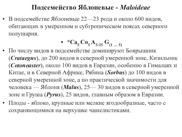 Подсемейство Яблоневые - Maloideae В подсемействе Яблоневые 22—23 рода и около