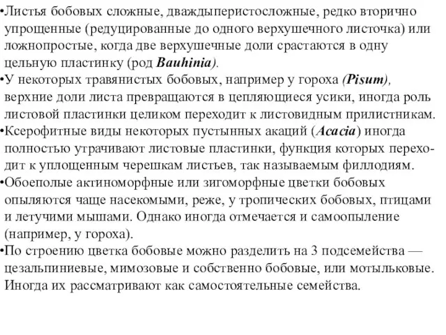 Листья бобовых сложные, дваждыперистосложные, редко вторично упрощенные (редуцированные до одного верхушечного