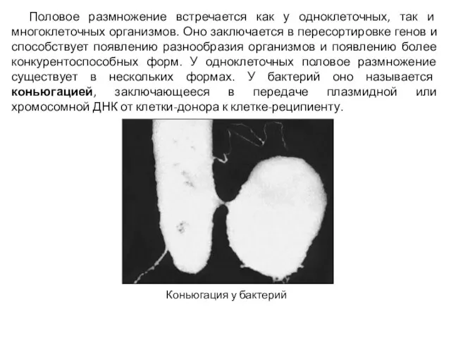 Половое размножение встречается как у одноклеточных, так и многоклеточных организмов. Оно