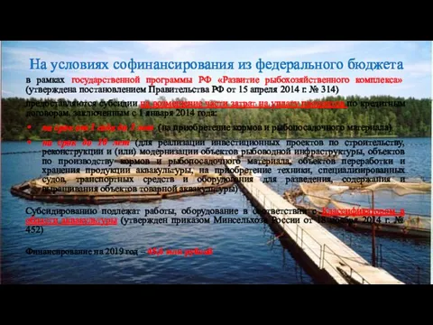 На условиях софинансирования из федерального бюджета в рамках государственной программы РФ