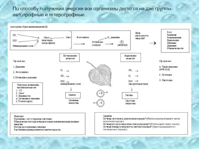 По способу получения энергии все организмы делятся на две группы- автотрофные и гетеротрофные .