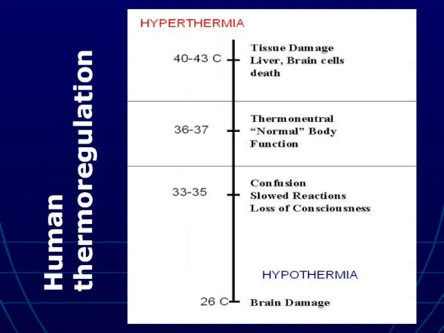 Human thermoregulation