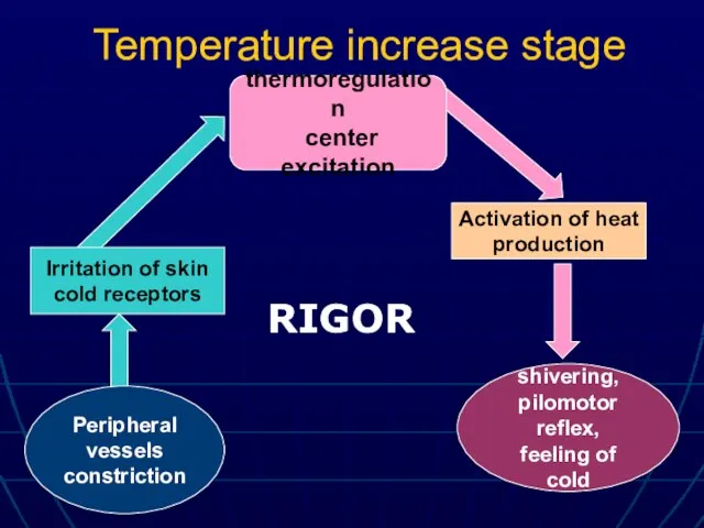 Temperature increase stage Peripheral vessels constriction shivering, pilomotor reflex, feeling of