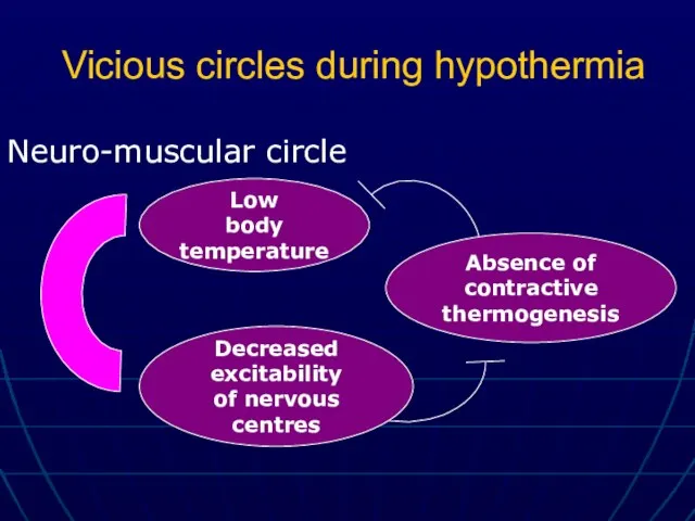 Vicious circles during hypothermia Low body temperature Neuro-muscular circle Decreased excitability