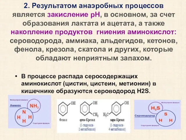 2. Результатом анаэробных процессов является закисление рН, в основном, за счет