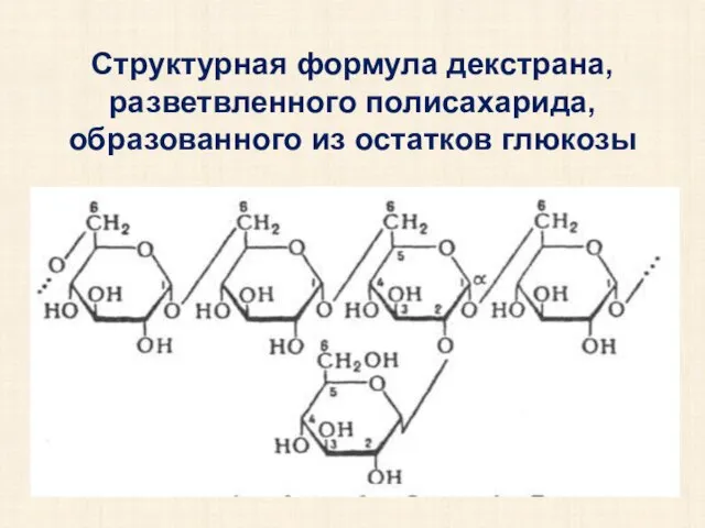 Структурная формула декстрана, разветвленного полисахарида, образованного из остатков глюкозы