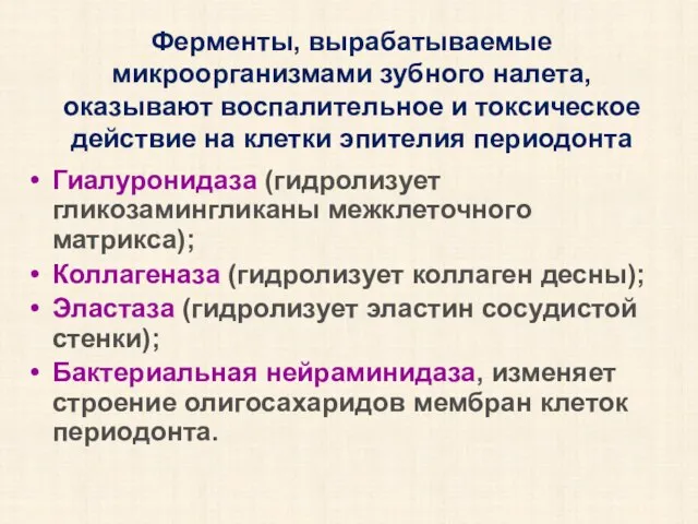 Ферменты, вырабатываемые микроорганизмами зубного налета, оказывают воспалительное и токсическое действие на