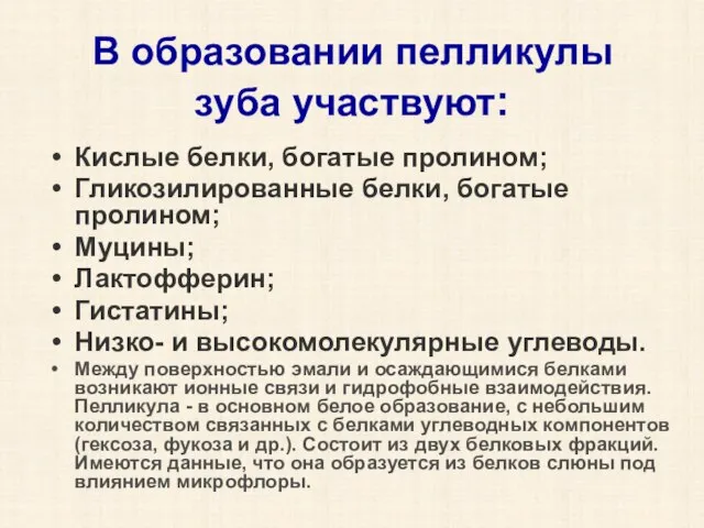 В образовании пелликулы зуба участвуют: Кислые белки, богатые пролином; Гликозилированные белки,