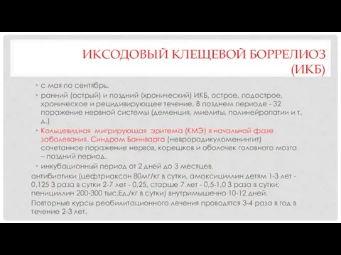 ИКСОДОВЫЙ КЛЕЩЕВОЙ БОРРЕЛИОЗ (ИКБ) с мая по сентябрь. ранний (острый) и